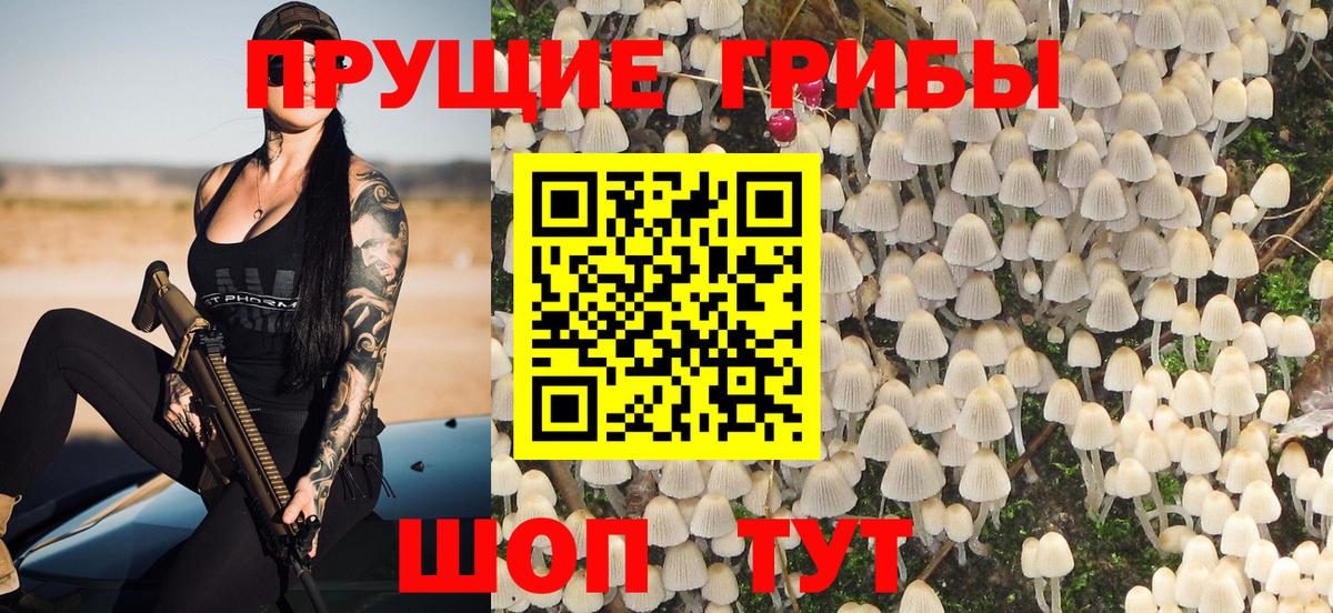 Нижнеудинск  Галлюциногенные грибы Cubensis  Вход с VPN 